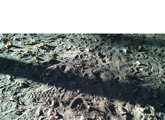 Libro «Huellas en la arena»